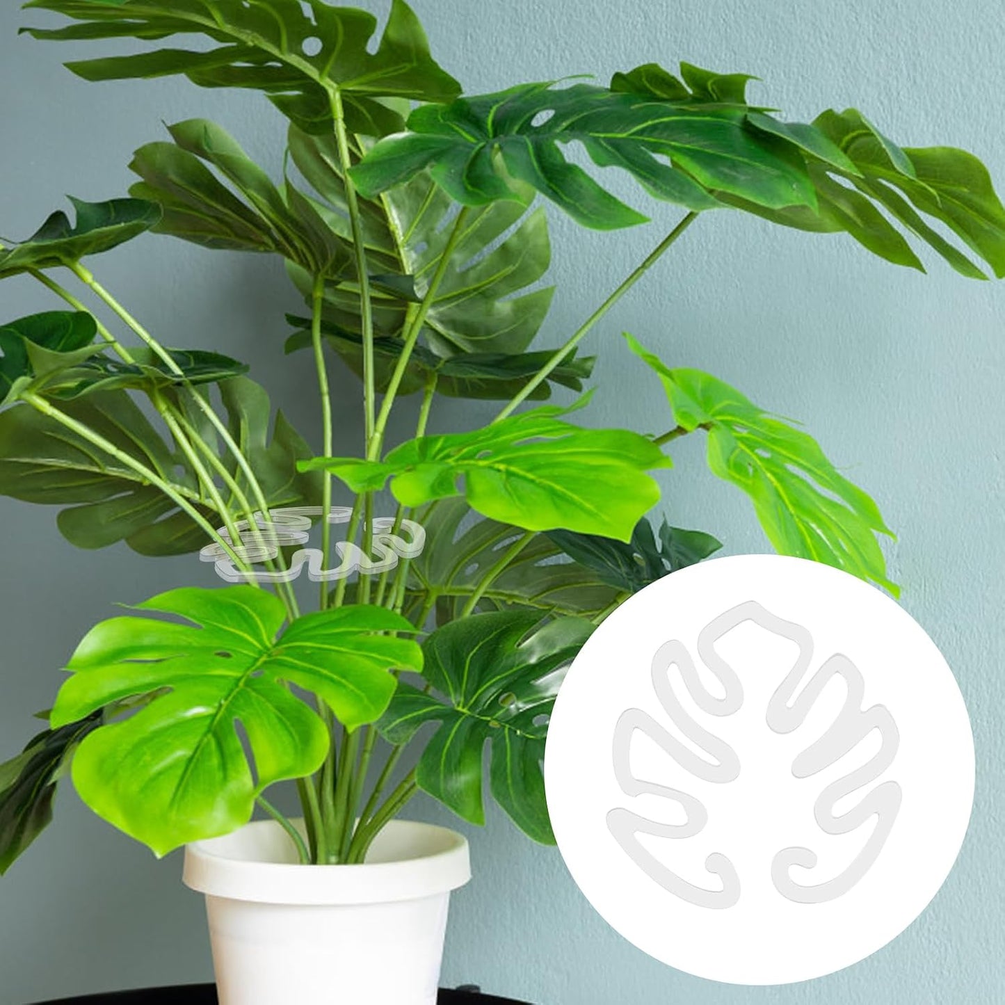 Läpinäkyvä akryylinen kasvituki peikonlehden muodossa | Näkymätön varren tuki sisäruukkukasveille 🌿