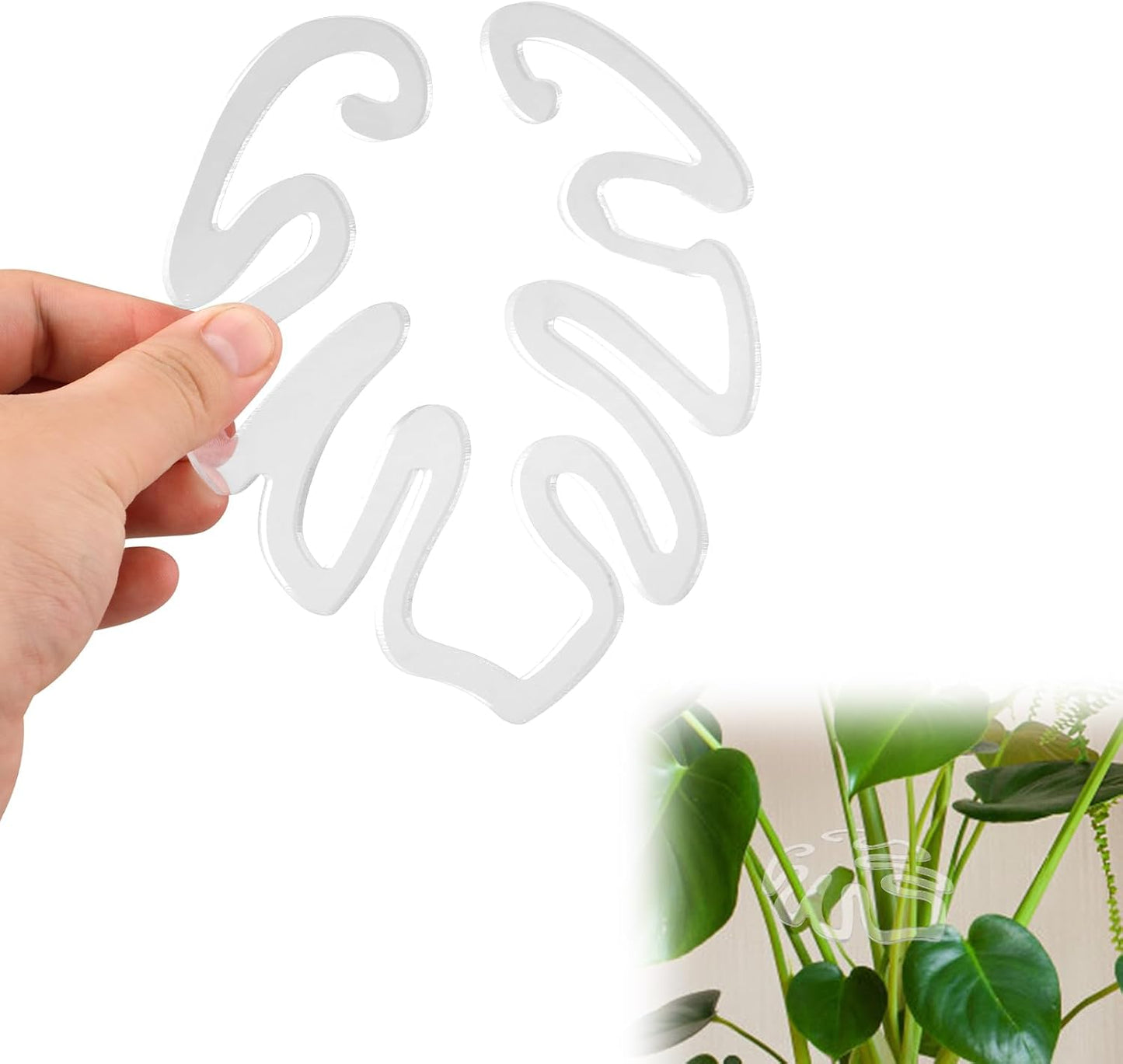 Läpinäkyvä akryylinen kasvituki peikonlehden muodossa | Näkymätön varren tuki sisäruukkukasveille 🌿