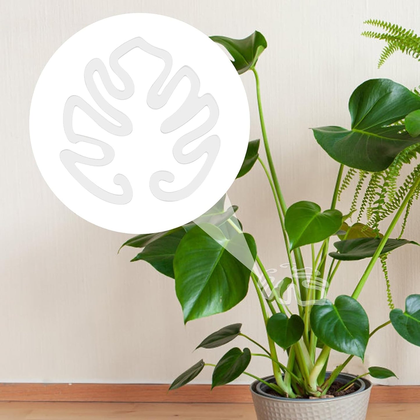 Läpinäkyvä akryylinen kasvituki peikonlehden muodossa | Näkymätön varren tuki sisäruukkukasveille 🌿