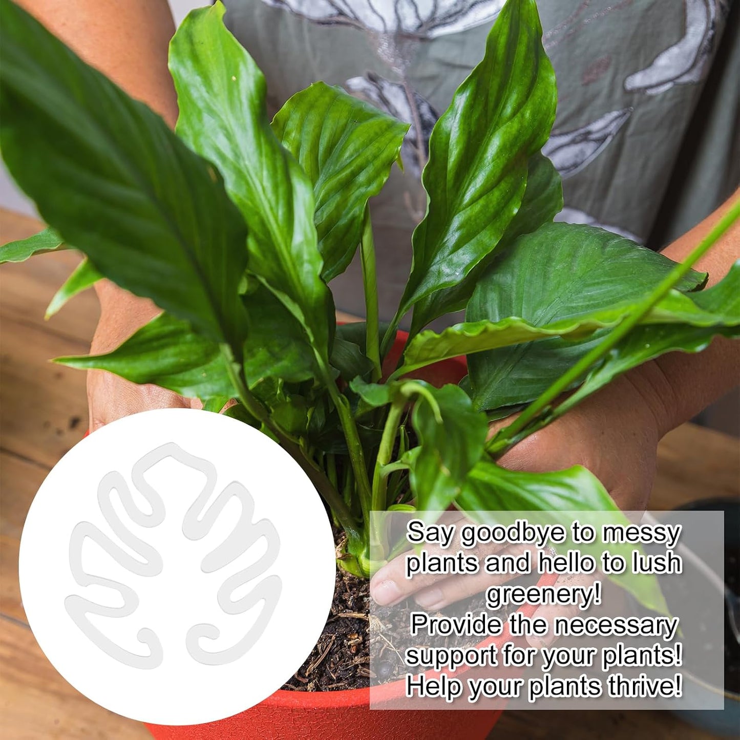 Läpinäkyvä akryylinen kasvituki peikonlehden muodossa | Näkymätön varren tuki sisäruukkukasveille 🌿